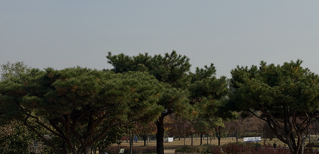 여의도 한강공원 풍경