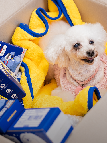 정기 후원 및 물품 지원